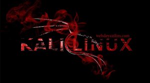 Kali Linux Veritabanı Değerlendirme Araçları
