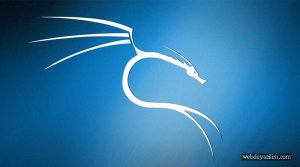 Kali Linux Bilgi Toplama Araçları