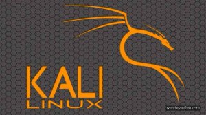 Kali Linux Bilgi Toplama Araçları